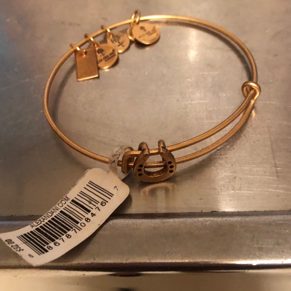 Alex and Ani horseshoe slider bangle